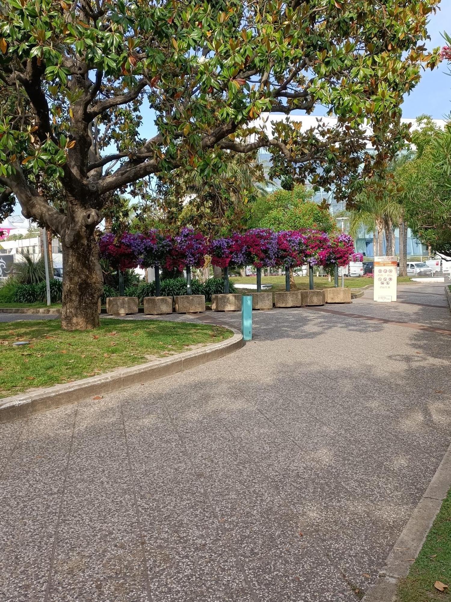 Appartamento Gallieni Cannes Esterno foto